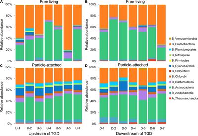 The Lifestyle-Dependent Microbial Interactions Vary Between Upstream and Downstream of the Three Gorges Dam